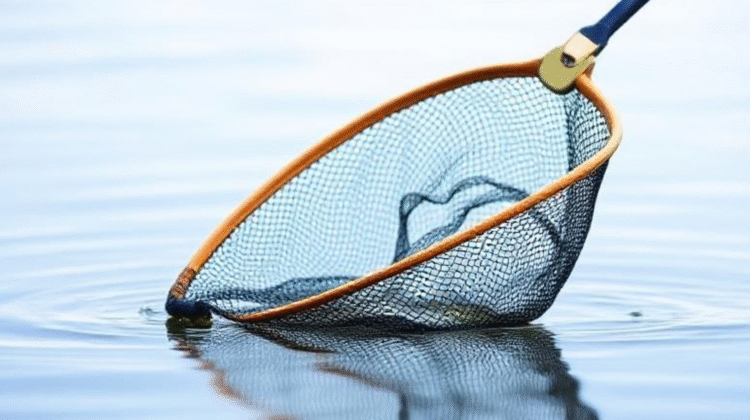 Fly Fishing Net