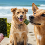 Can Dogs Eat Seaweed