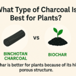 whats best for plants binchotan charcoal or biochar