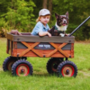 New Year Outdoors with Kids Dogs Mountain Wagons