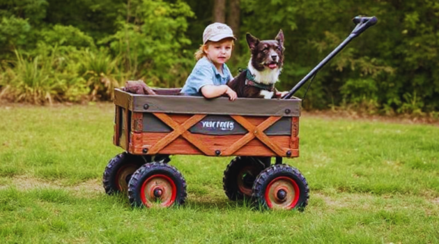 New Year Outdoors with Kids Dogs Mountain Wagons