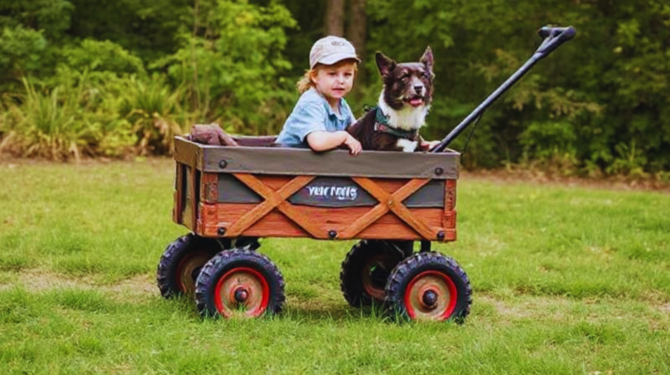 New Year Outdoors with Kids Dogs Mountain Wagons